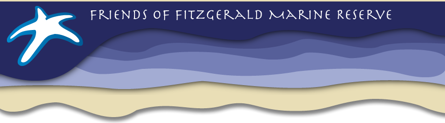 Friend of Fitzgerald Marine Reserve Banner