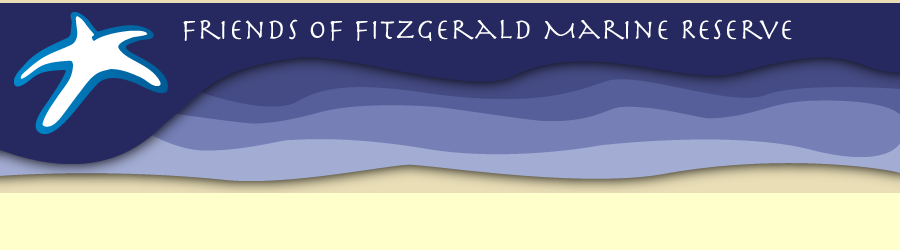 Friends of Fitzgerald Marine Reserve Banner