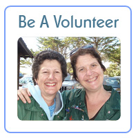volunteer
