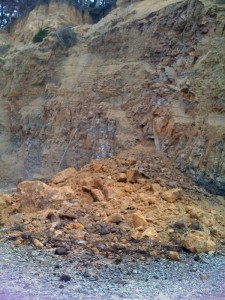 A large chunk of the Cypress Point bluff at FMR collapsed onto the beach.