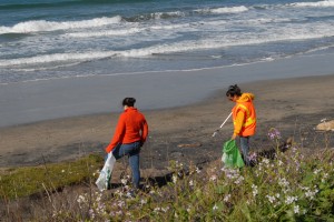 Cleaning Up Surfer's Beach
